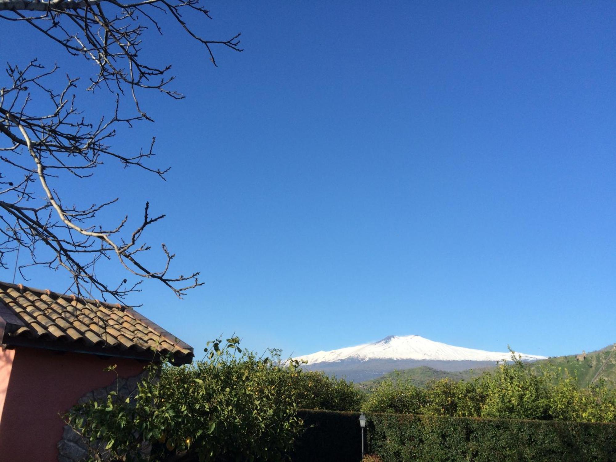 Bed and Breakfast Il Giardino Segreto Trappitello Zimmer foto